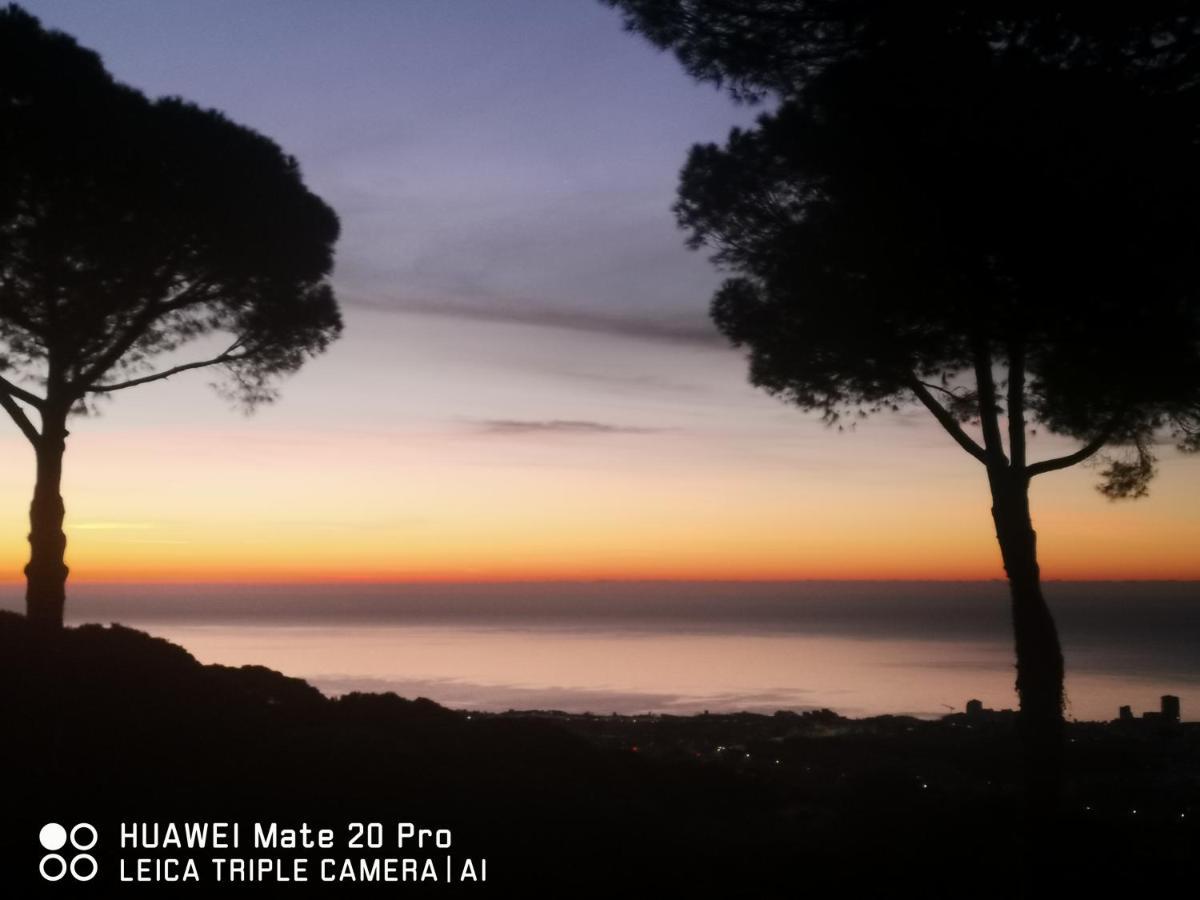 Villa Maresme & Villa Rosa Mataró Exteriér fotografie